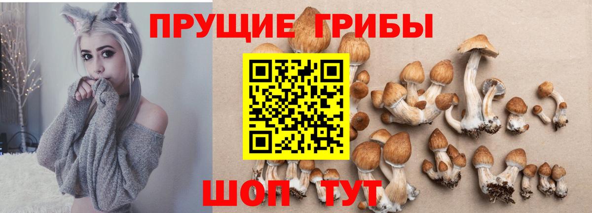 продажа наркотиков  Вход с VPN  Крымск  Галлюциногенные грибы ЛСД  Псилоцибиновые грибы прущие грибы 